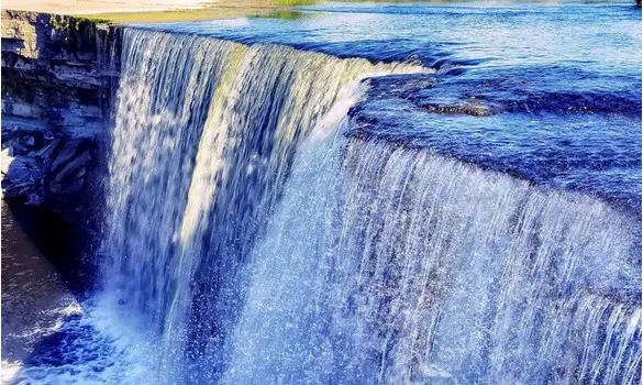 DISC GOLF FESTIVAL 2024