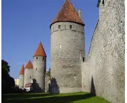 DISC GOLF FESTIVAL 2024