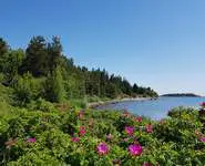 JOURNEE SUR UNE L'ILE